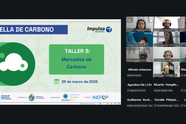 Captura de pantalla 2026-03-25 090421