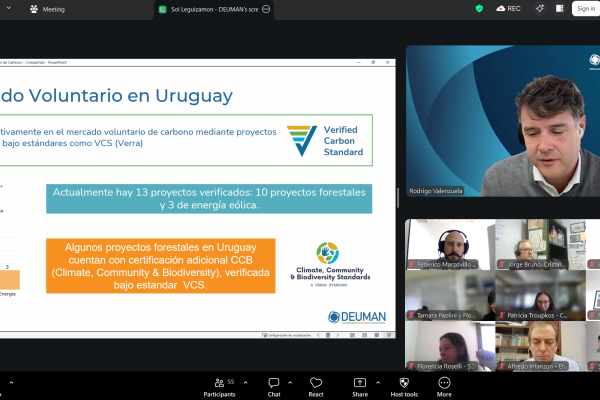 Captura de pantalla 2026-03-25 101530